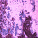 Square Abstract Purple Modern Rug, abs2570pur