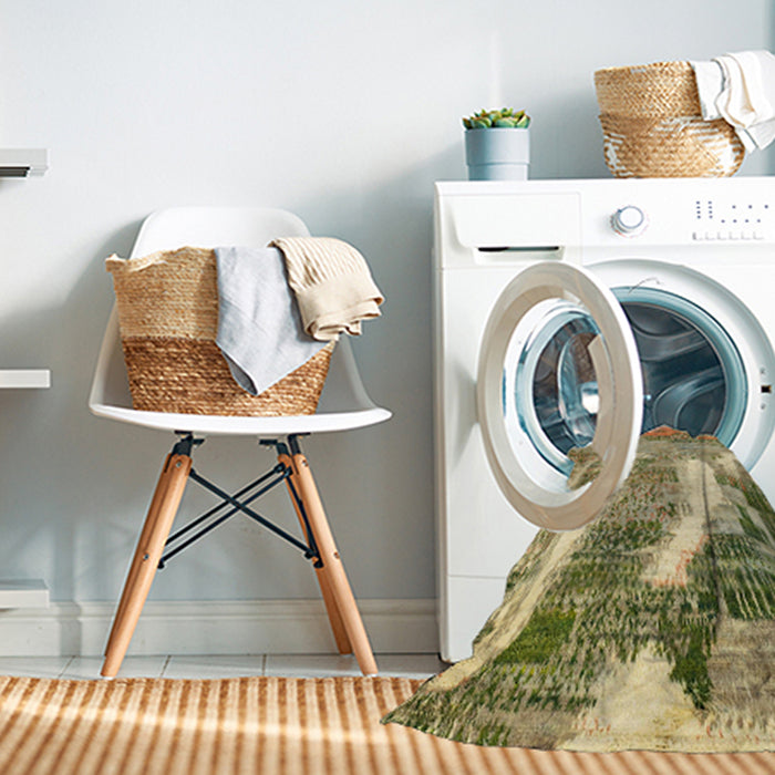 Machine Washable Abstract Ginger Brown Green Rug in a Washing Machine, wshabs2573