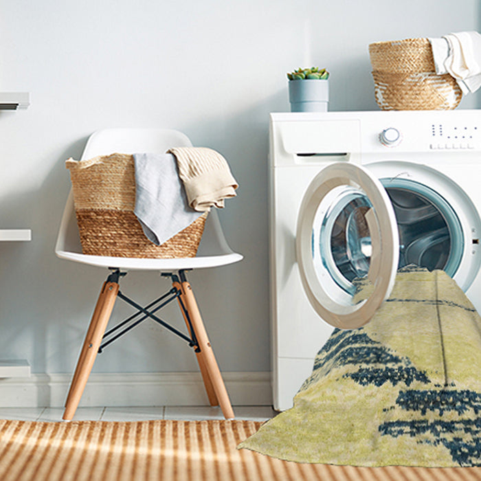 Machine Washable Abstract Brown Rug in a Washing Machine, wshabs2576