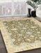 Abstract Dark Almond Brown Oriental Rug in Family Room, abs2577