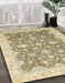 Machine Washable Abstract Dark Almond Brown Rug in a Family Room, wshabs2577
