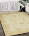 Abstract Brown Gold Oriental Rug in Family Room, abs2578