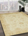 Machine Washable Abstract Brown Gold Rug in a Family Room, wshabs2578