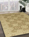 Machine Washable Abstract Cinnamon Brown Rug in a Family Room, wshabs2581