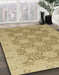 Abstract Cinnamon Brown Oriental Rug in Family Room, abs2581