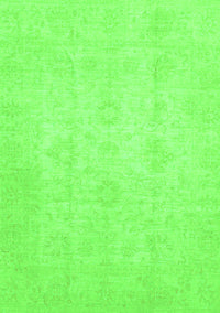 Oriental Green Traditional Rug, abs2583grn