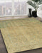 Machine Washable Abstract Metallic Gold Rug in a Family Room, wshabs2585