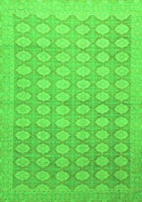 Oriental Green Traditional Rug, abs2587grn