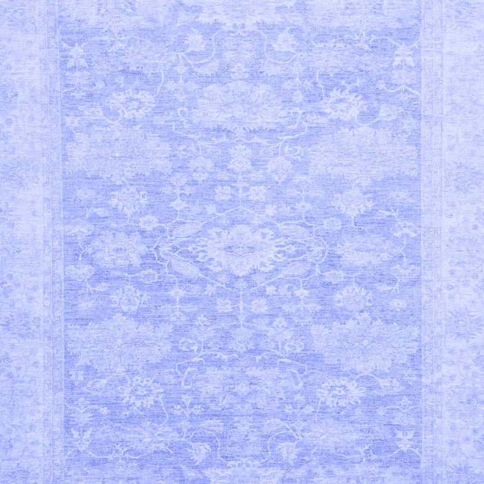 Oriental Blue Traditional Rug, abs2592blu