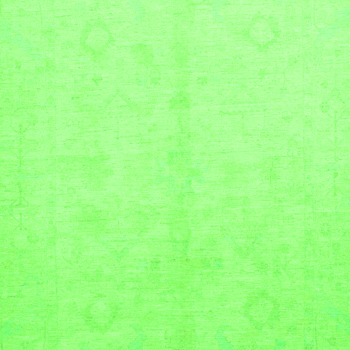 Oriental Green Traditional Rug, abs2598grn