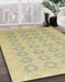 Machine Washable Abstract Brass Green Rug in a Family Room, wshabs2604