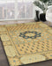 Machine Washable Abstract Cinnamon Brown Rug in a Family Room, wshabs2608