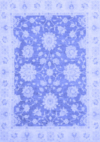 Oriental Blue Traditional Rug, abs2614blu