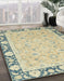 Machine Washable Abstract Brown Gold Rug in a Family Room, wshabs2615