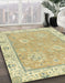 Machine Washable Abstract Brass Green Rug in a Family Room, wshabs2619