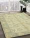 Machine Washable Abstract Brown Gold Rug in a Family Room, wshabs2623