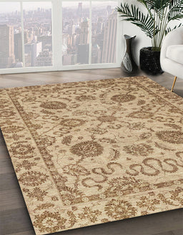 Machine Washable Abstract Light Brown Rug in a Family Room, wshabs2627
