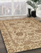 Machine Washable Abstract Light Brown Rug in a Family Room, wshabs2627