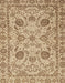 Machine Washable Abstract Light Brown Rug, wshabs2627