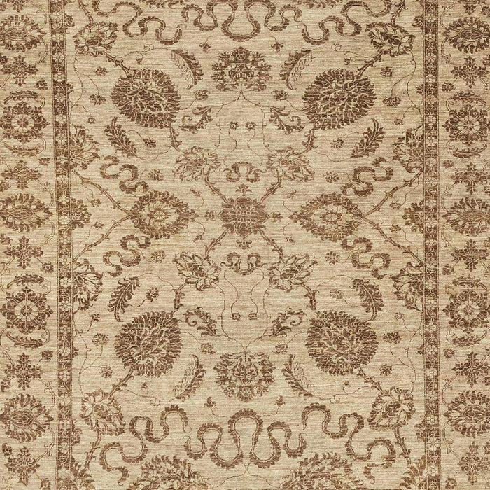 Abstract Light Brown Oriental Rug, abs2627