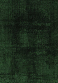 Oriental Emerald Green Modern Rug, abs2629emgrn