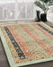 Abstract Brown Oriental Rug in Family Room, abs2633