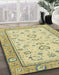 Machine Washable Abstract Brass Green Rug in a Family Room, wshabs2636