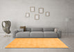 Machine Washable Oriental Orange Modern Area Rugs in a Living Room, wshabs2638org