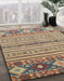 Abstract Chestnut Brown Oriental Rug in Family Room, abs2641