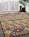 Machine Washable Abstract Chestnut Brown Rug in a Family Room, wshabs2641