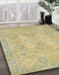 Abstract Copper Green Oriental Rug in Family Room, abs2644