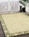 Machine Washable Abstract Brown Gold Rug in a Family Room, wshabs2646