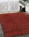 Machine Washable Abstract Cranberry Red Rug in a Family Room, wshabs2649