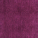 Square Oriental Purple Modern Rug, abs2649pur