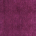 Square Machine Washable Oriental Purple Modern Area Rugs, wshabs2649pur