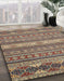 Abstract Chestnut Brown Oriental Rug in Family Room, abs2656