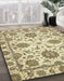 Machine Washable Abstract Brown Rug in a Family Room, wshabs2660