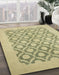 Machine Washable Abstract Brass Green Rug in a Family Room, wshabs2664