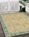 Abstract Brown Gold Oriental Rug in Family Room, abs2675