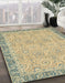 Machine Washable Abstract Brown Gold Rug in a Family Room, wshabs2675