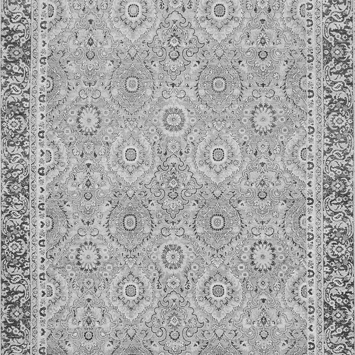 Machine Washable Oriental Gray Traditional Rug, wshabs2675gry