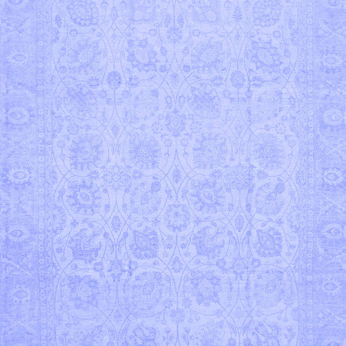 Oriental Blue Traditional Rug, abs2678blu