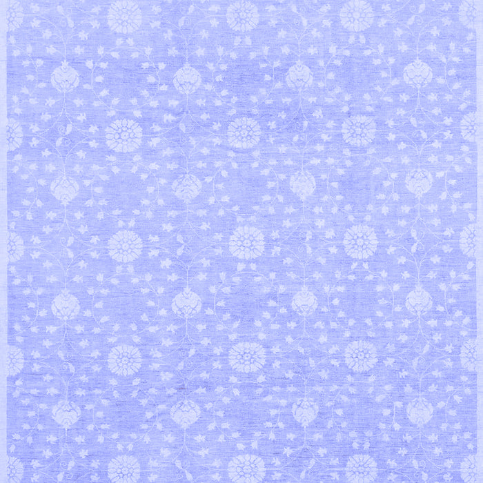 Machine Washable Oriental Blue Traditional Rug, wshabs2681blu