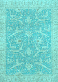 Oriental Light Blue Traditional Rug, abs2689lblu