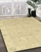 Machine Washable Abstract Mustard Yellow Rug in a Family Room, wshabs2699