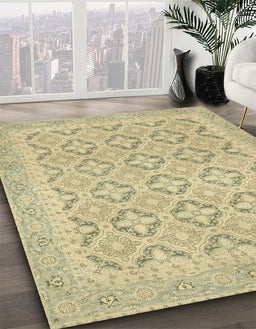 Machine Washable Abstract Brass Green Rug in a Family Room, wshabs2708