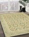 Machine Washable Abstract Brass Green Rug in a Family Room, wshabs2708