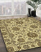 Abstract Chrome Gold Yellow Oriental Rug in Family Room, abs2709