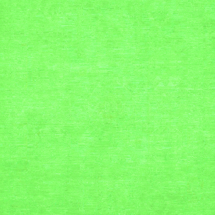 Oriental Green Traditional Rug, abs2710grn