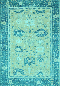 Oriental Light Blue Traditional Rug, abs2711lblu